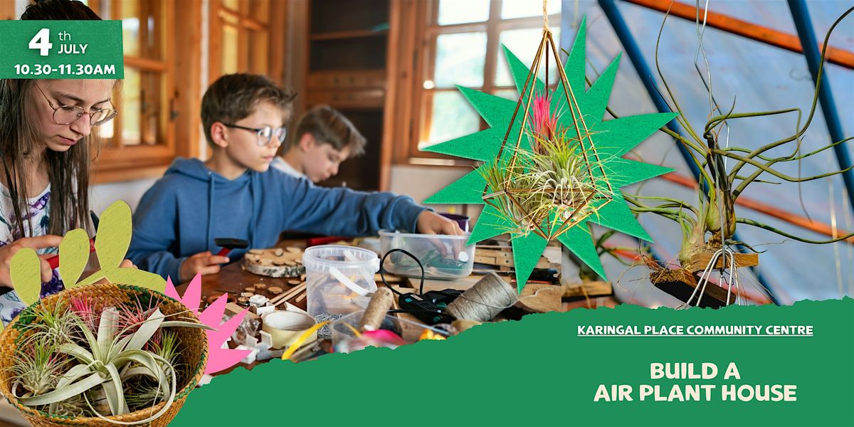 Air Plant Homes! July School Holidays