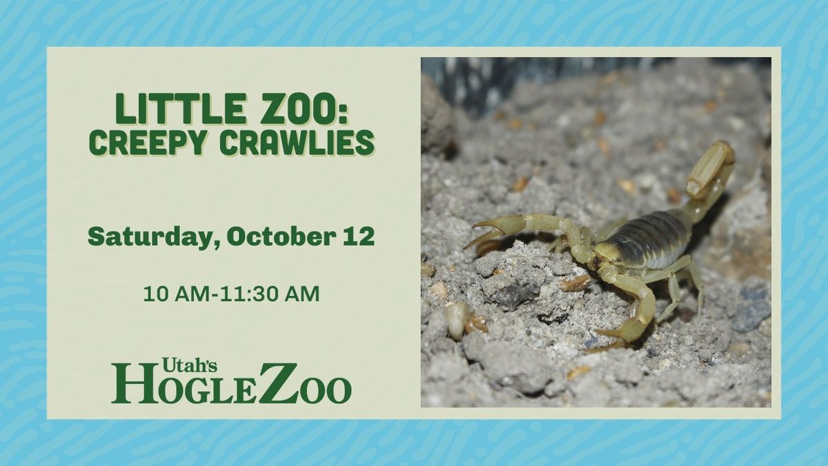 Little Zoo: Creepy Crawlies