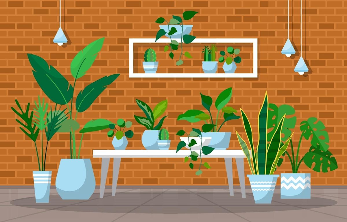 2022 Fall Plant Buy, Sell, Swap