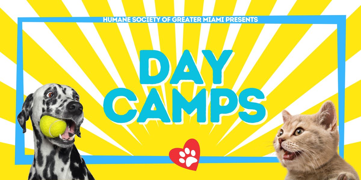 Kids Day Camp - Teacher Planning Days (Ages 9 - 12)