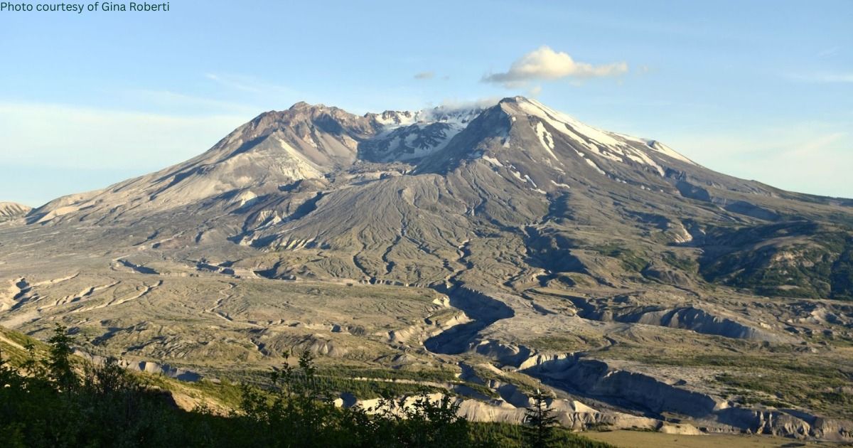 In-Person Field Class: Ecology & Birding at Mount St. Helens Silver Lake with Gina Roberti