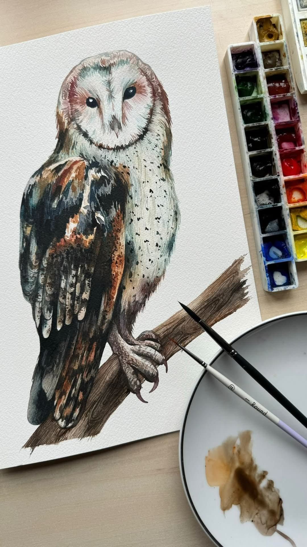 Owl Watercolour Workshop with Rita Gould 