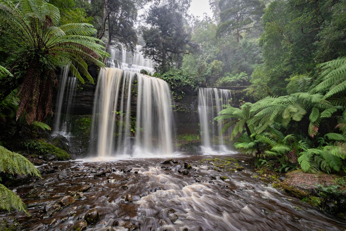 Mt Field & South West Tasmania 3 day Photography Workshop