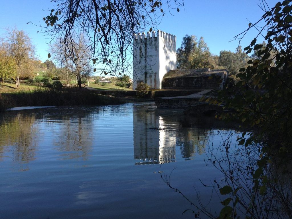 CONOCE LA NATURALEZA DE NUESTRA PROVINCIA: LOS MOLINOS DEL GUADAIRA