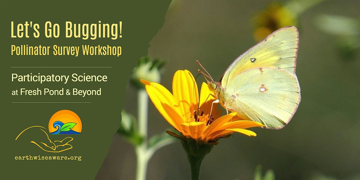 Let's Go Bugging! Pollinator Survey Workshop