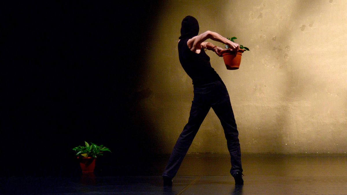 CUANDO QUIERAS de Carmen Werner - DANZA - Ciclo \u00d3rbita Danza