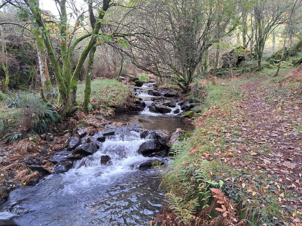 Caminhando na Serra do Mar\u00e3o e Amarante