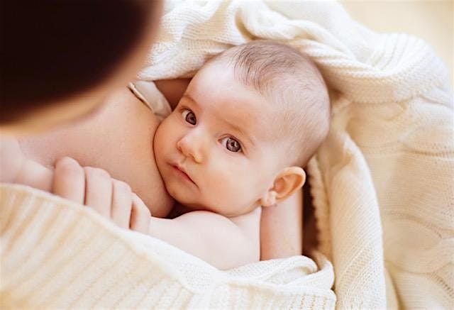 Breastfeeding - WEISSBLUTH PEDIATRICS (NORTHWESTERN)