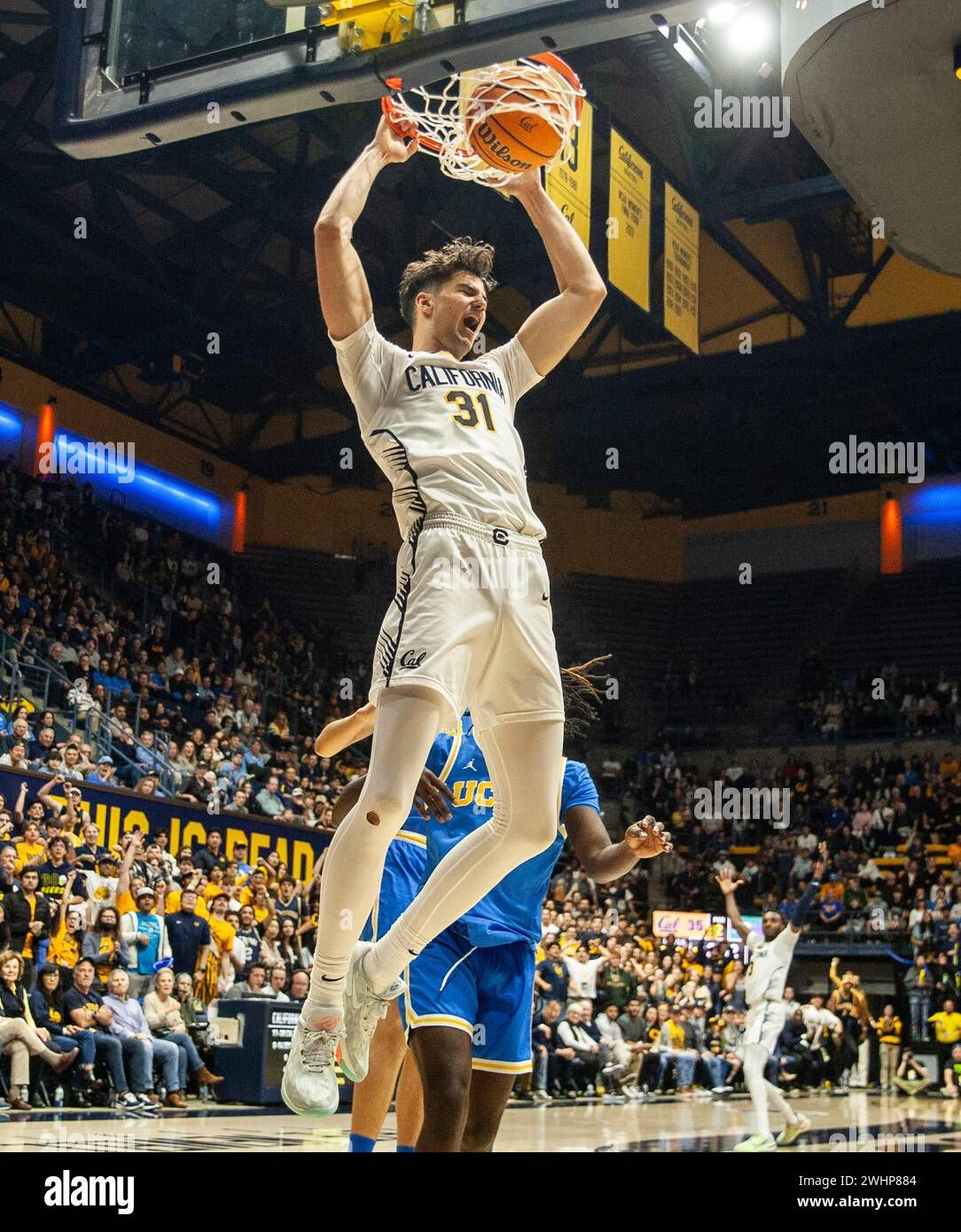 California Golden Bears at Pittsburgh Panthers Mens Basketball