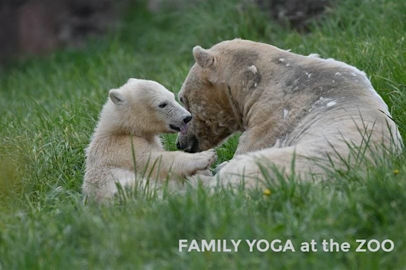 Family Yoga at the Detroit Zoo