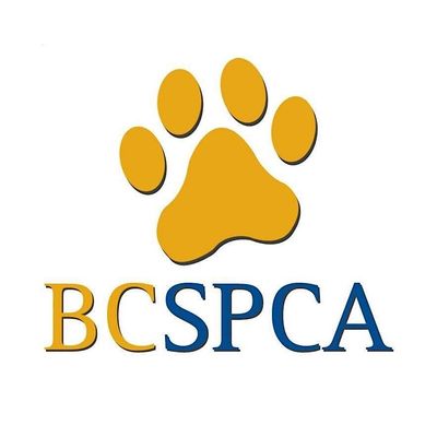 BC SPCA Tri-Cities