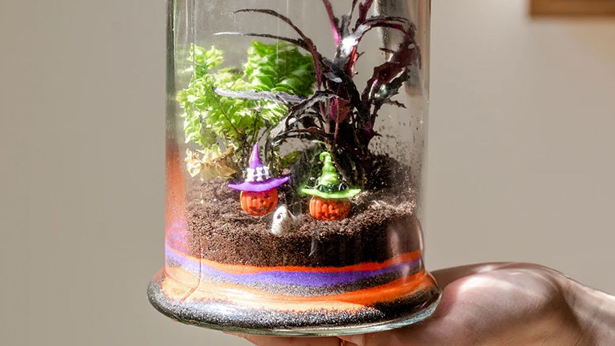 Make Your Own Spooky Terrarium