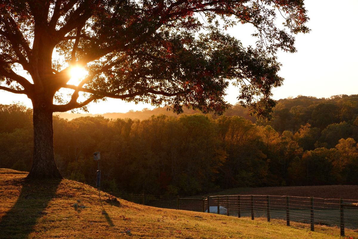 Fall Cookbook Club ~ Coverdale Farm Preserve