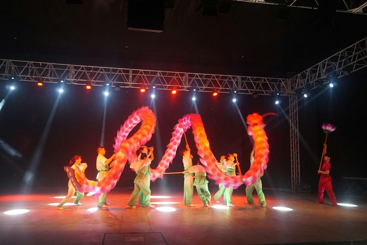 Hubei University Loong and Lion Art Troupe UK Tour : Nottingham