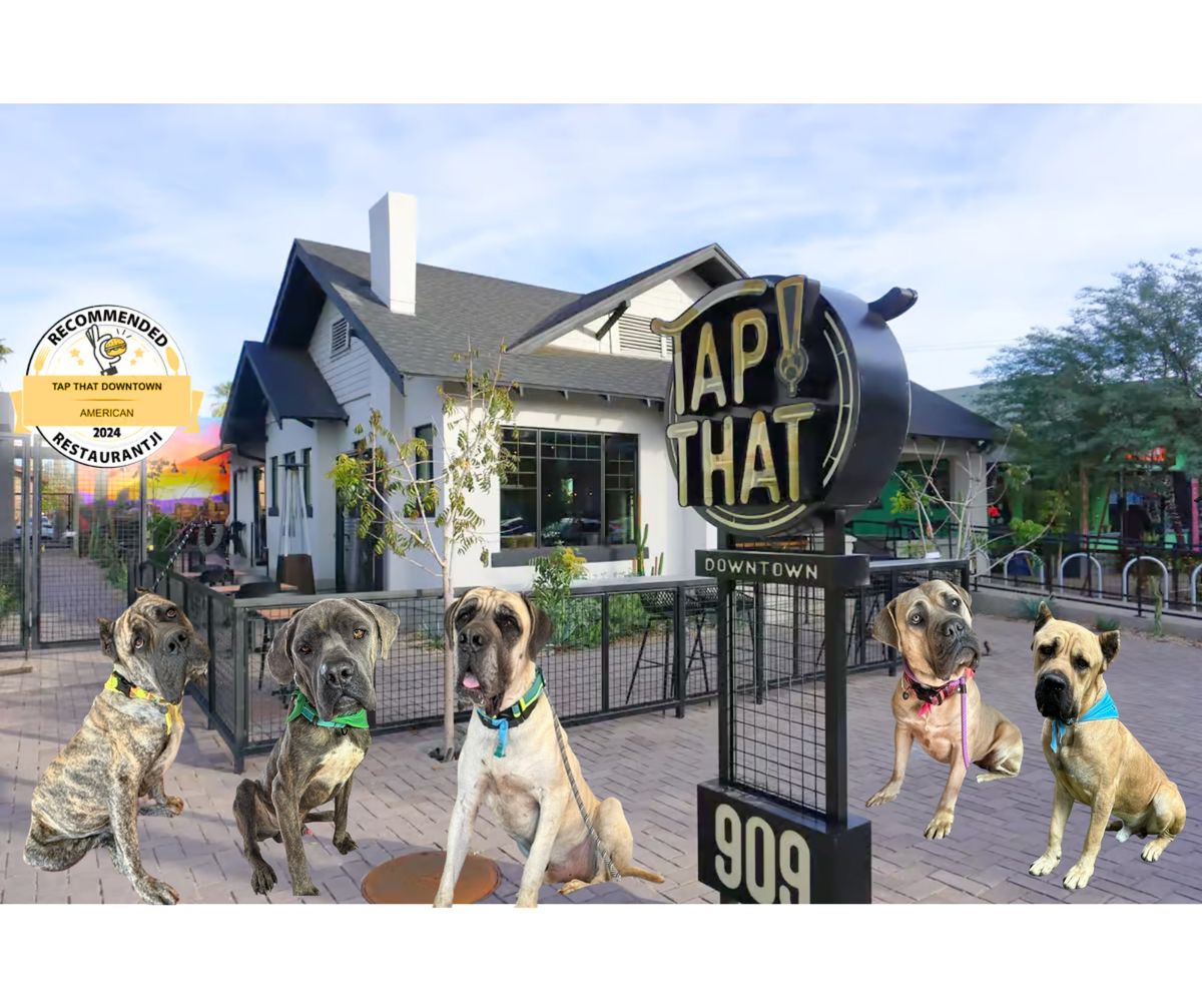 TapThat! Az Mastiff Rescue adoption and donation event! 