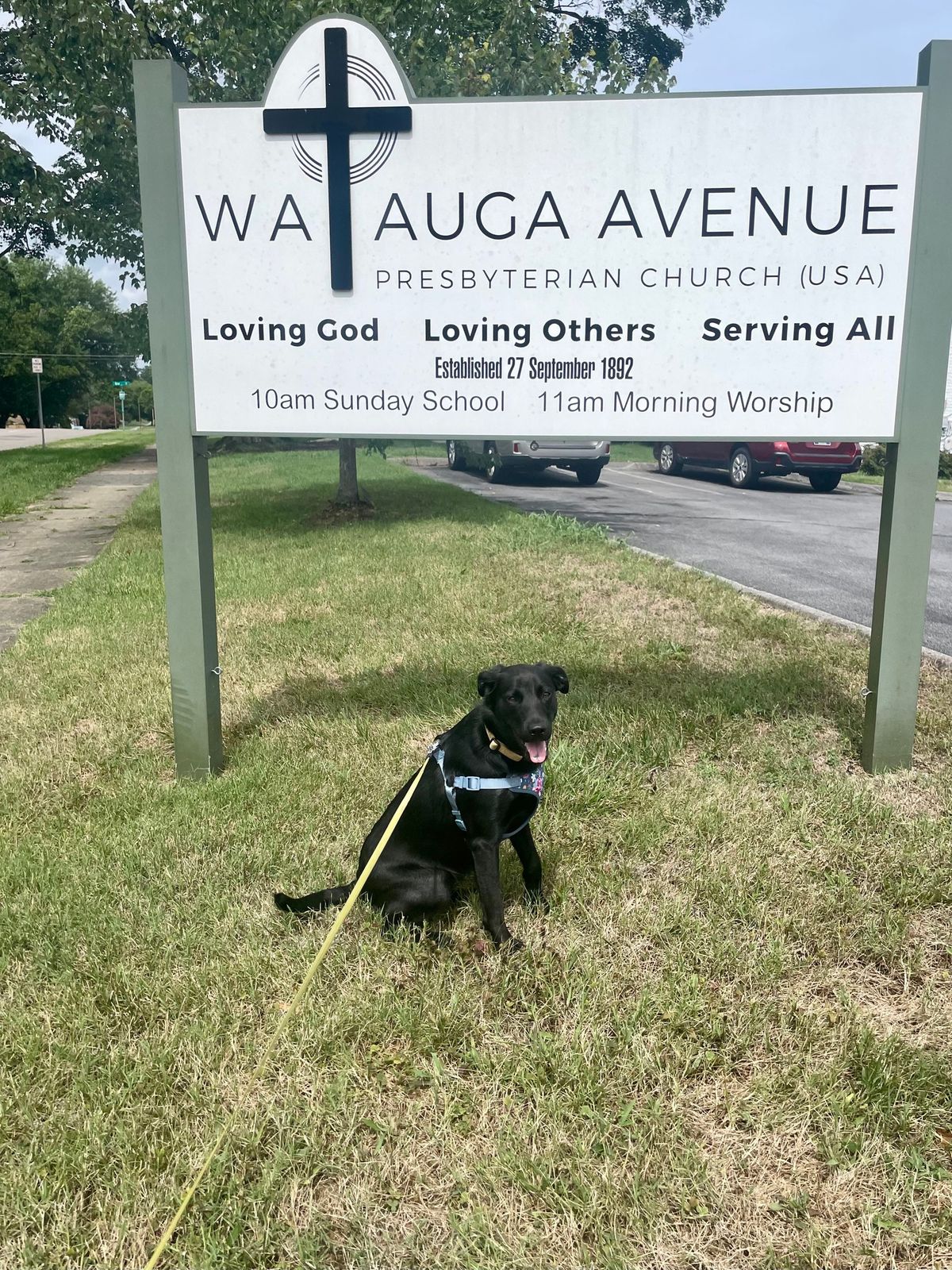 Blessing of the Animals 