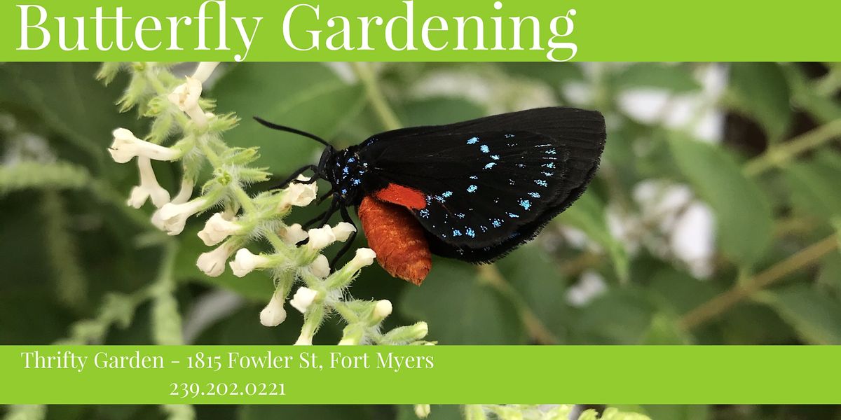 Butterfly Gardening Basics, Thrifty Garden, Fort Myers, 27 March 2021