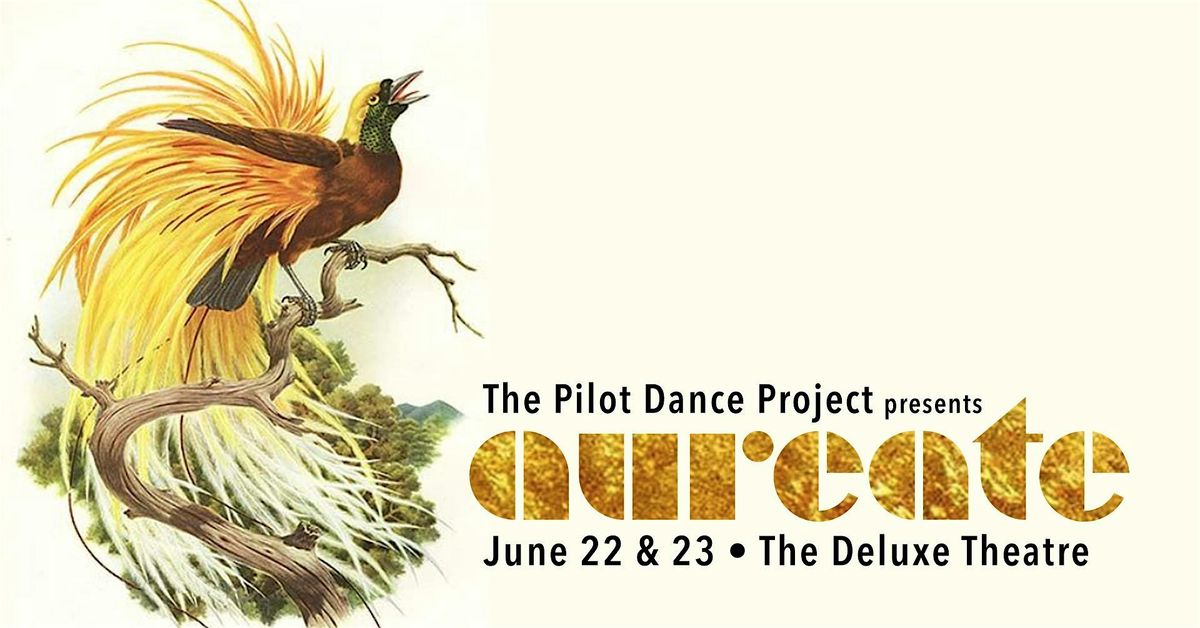 The Pilot Dance Project Presents Aureate