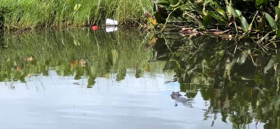 Lake Eustis Shoreline CleanUp