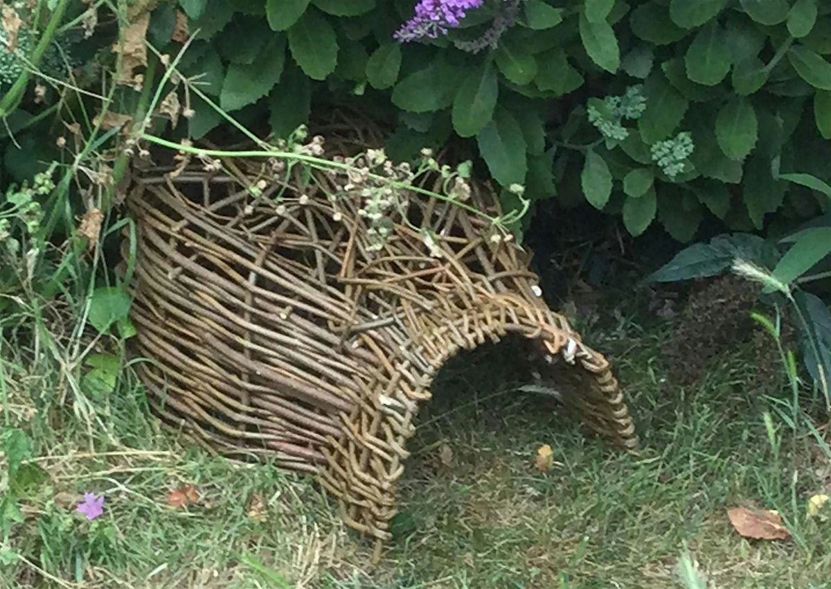 Willow Hedgehog Home Workshop (ELC 2806)