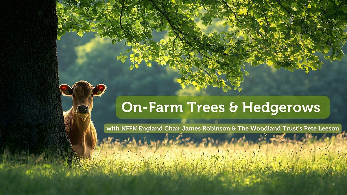 On-Farm Trees and Hedgerows Workshop