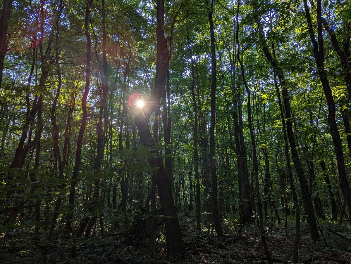 Spooky Stories at Sunset