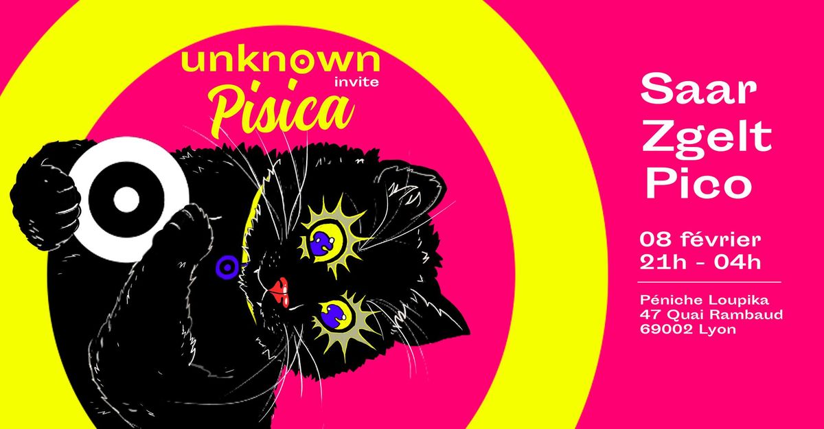 \u229a Unknown invite Pisica \u229a Saar | Pico B2B Zgelt \u229a