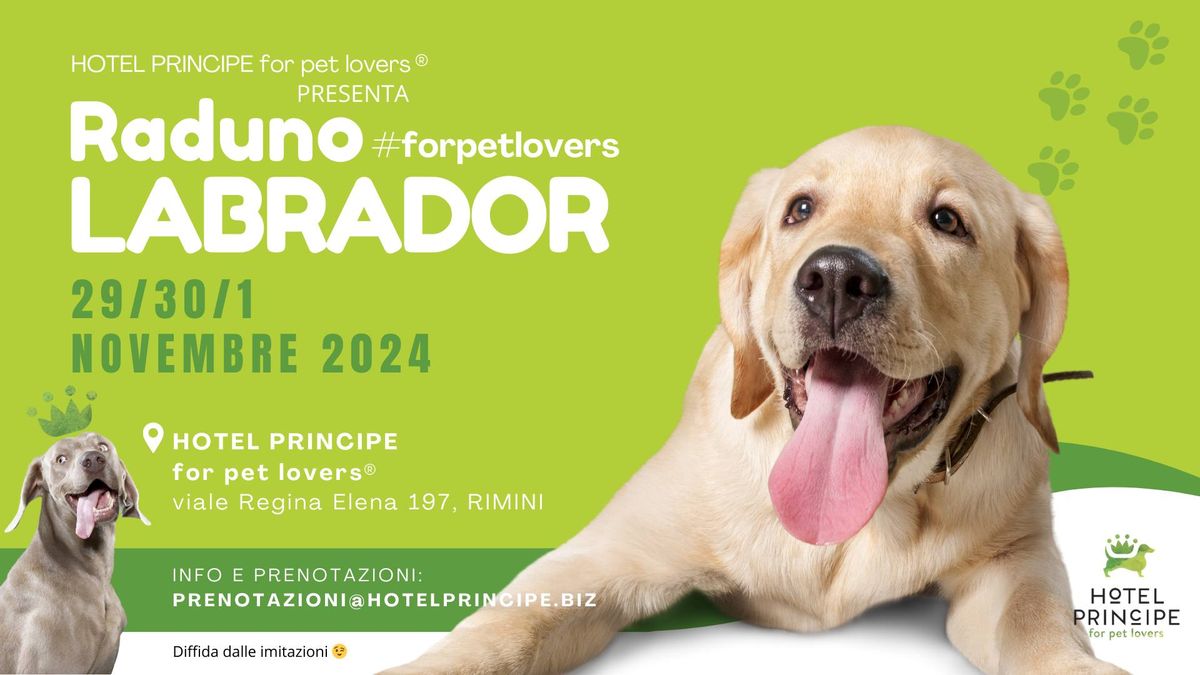 Raduno LABRADOR #forpetlovers