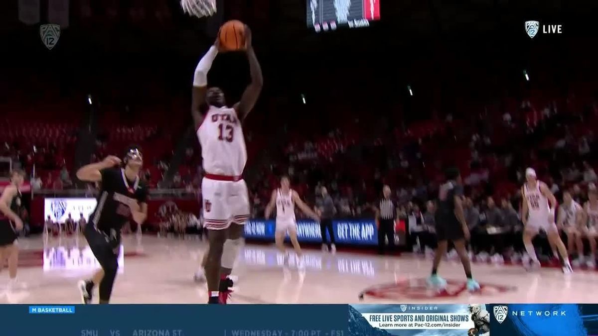 Southern Utah Thunderbirds at Arizona Wildcats Womens Volleyball