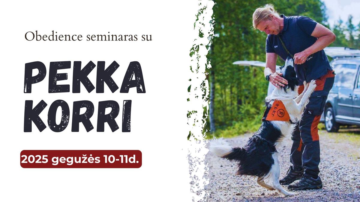 Praktinis Obedience seminaras su Pekka Korri