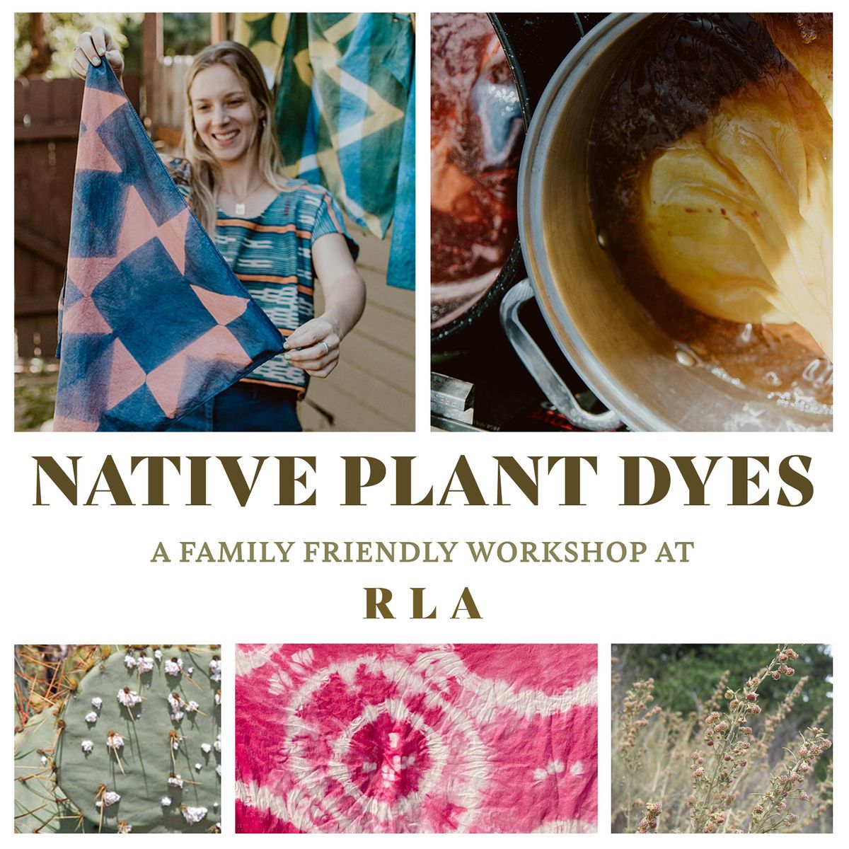 Native Plant Dyes: A Family-Friendly Workshop