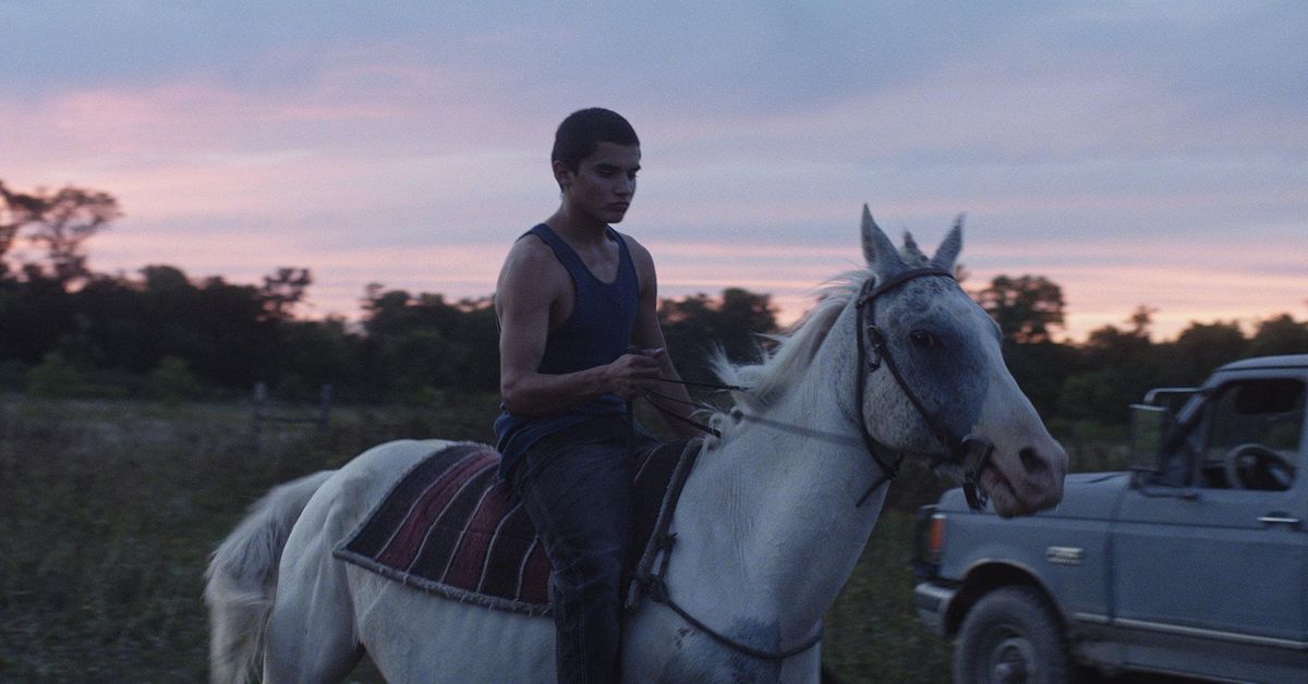Songs My Brothers Taught Me (2015) \/ The Rider (2017)