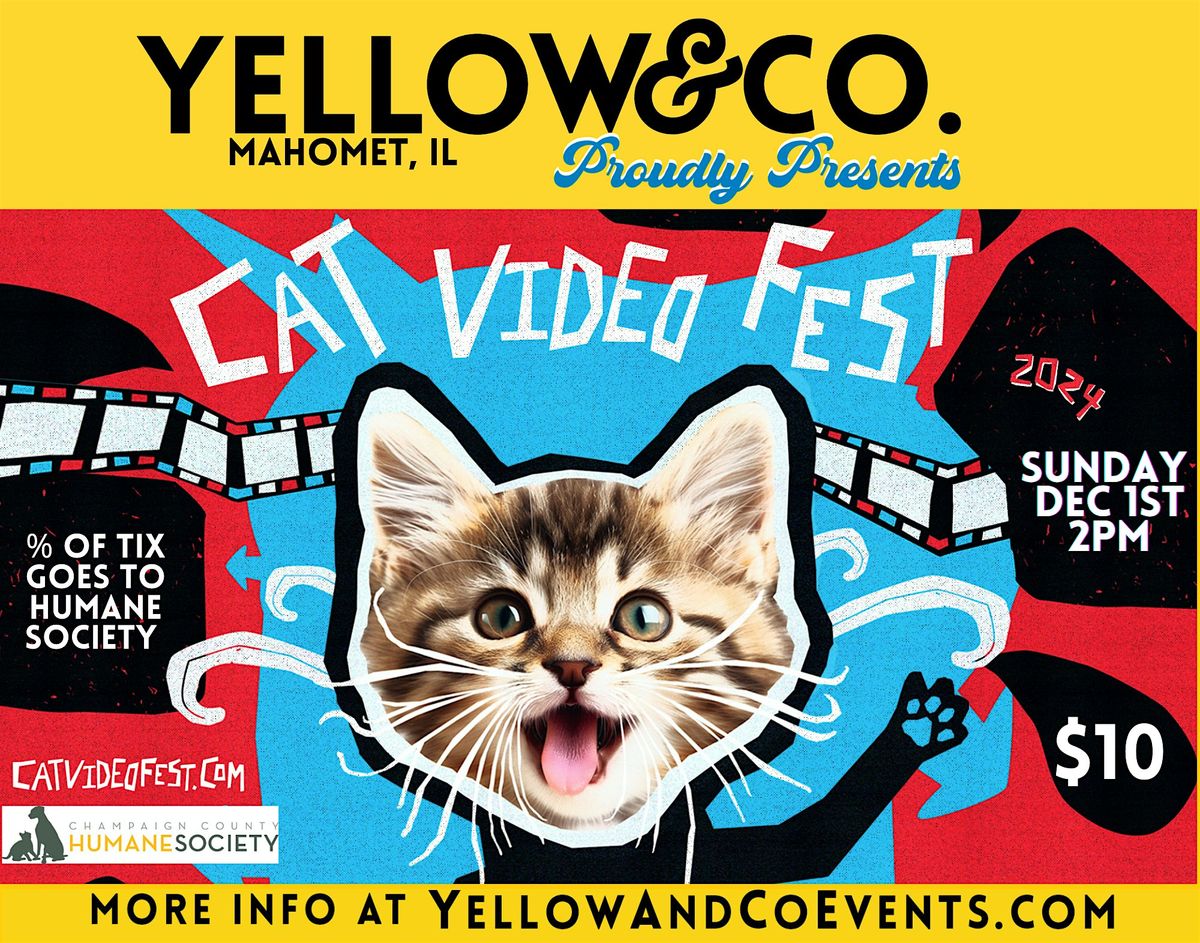 CatVideoFest presented by Yellow & Co. partnering with CU Humane Society