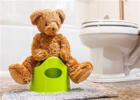 Information session: Toilet training with Tresillian - Narooma