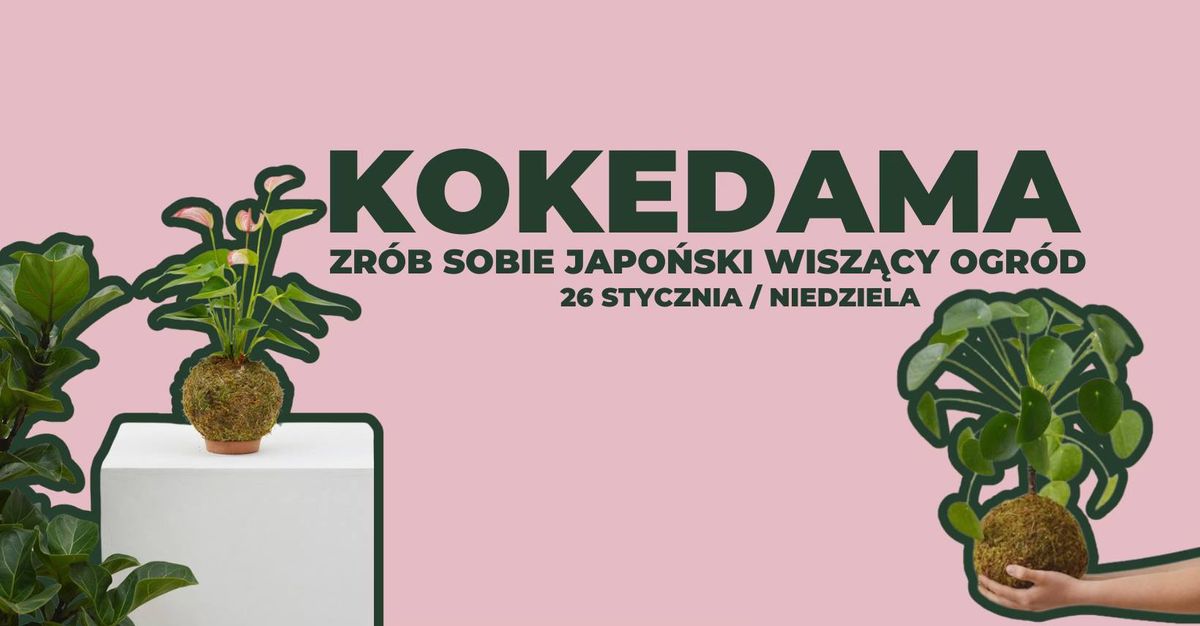 KOKEDAMA \u2022 warsztaty japo\u0144skich wisz\u0105cych ogrod\u00f3w \u2022 Hala \u015awiebodzki bar and food court