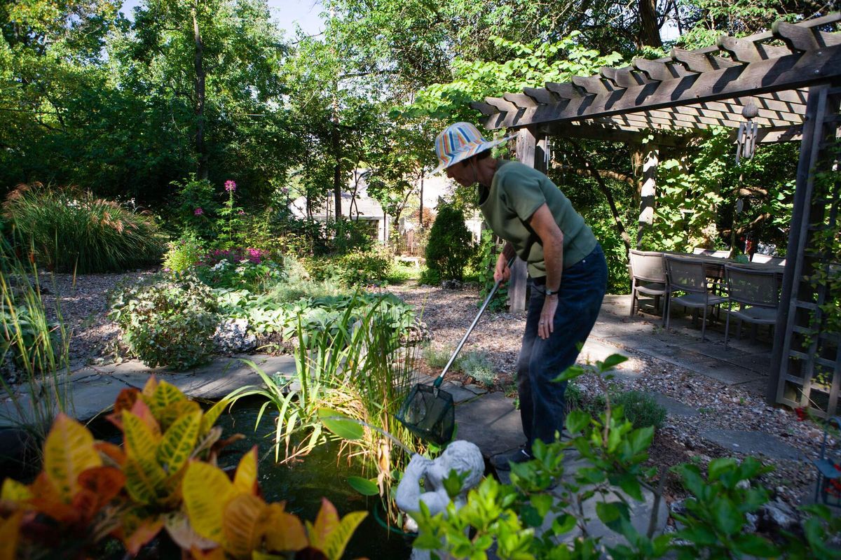 Fall Maintenance of Your Native Garden