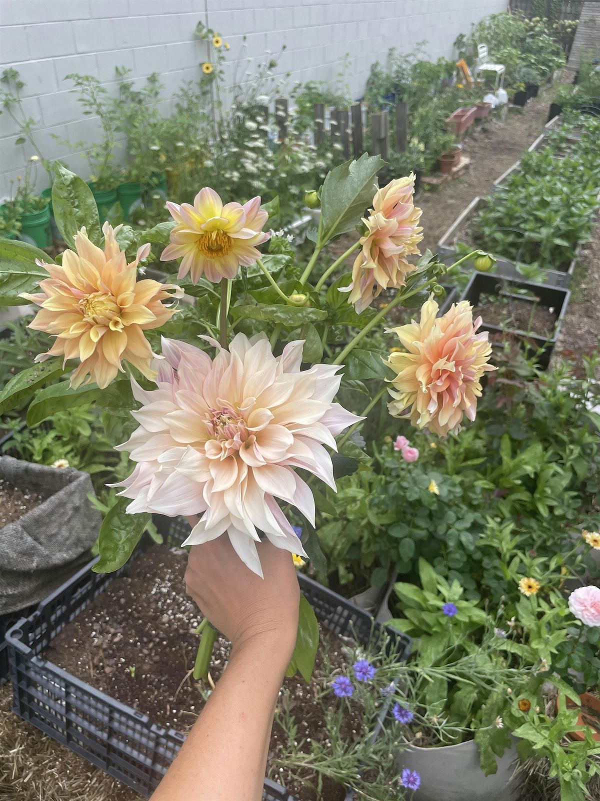 Garden Family Yoga