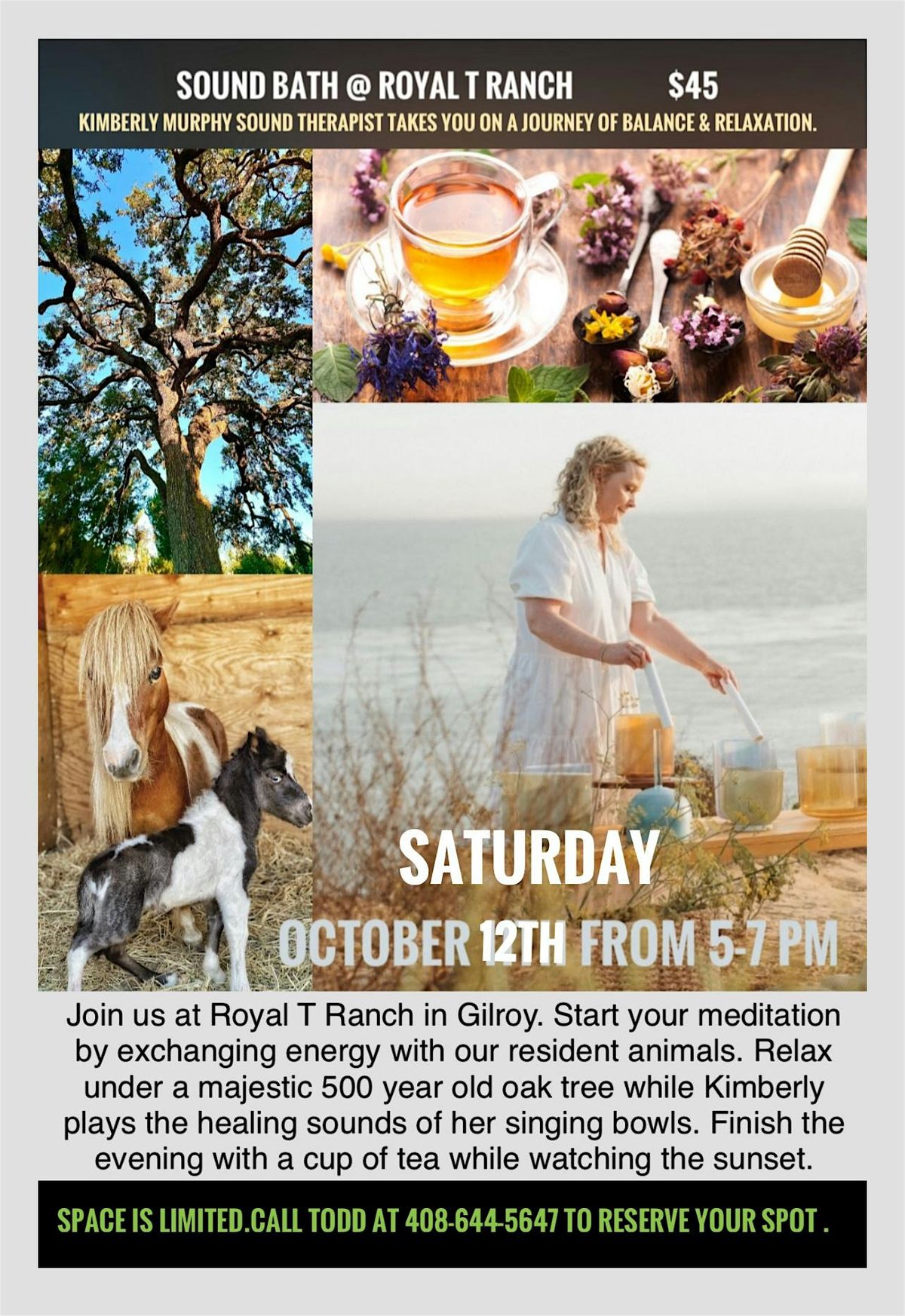 Outdoor Sound Bath at Royal-T Ranch in Gilroy