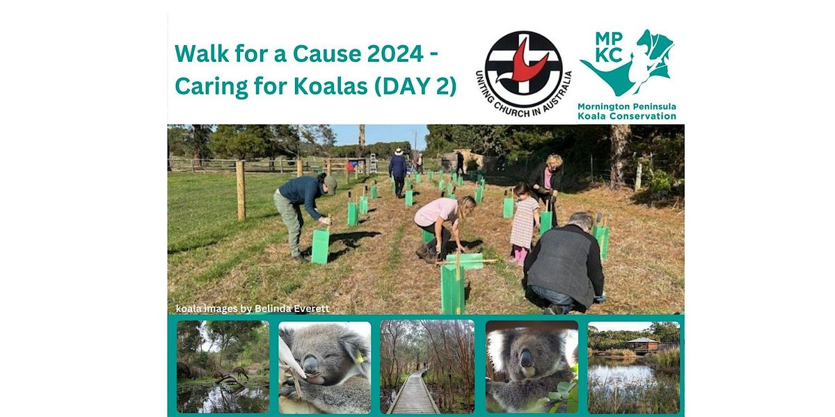 Walk for a Cause 2024 - (DAY 2) - Koala Food Tree Planting - The Briars