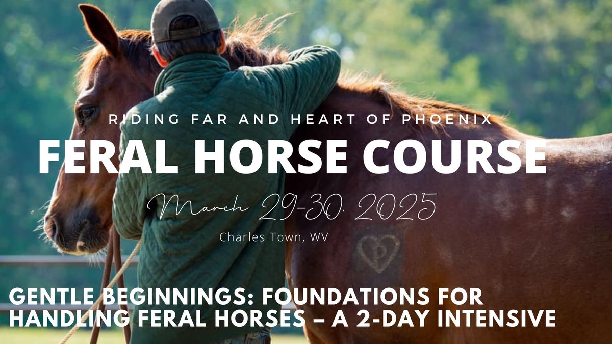 Gentle Beginnings: Foundations for Handling Feral Horses with Riding Far and Heart of Phoenix