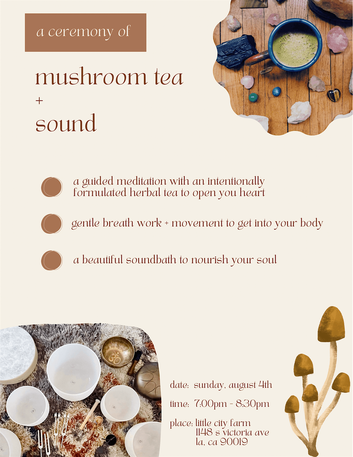 a ceremony of mushroom tea + sound