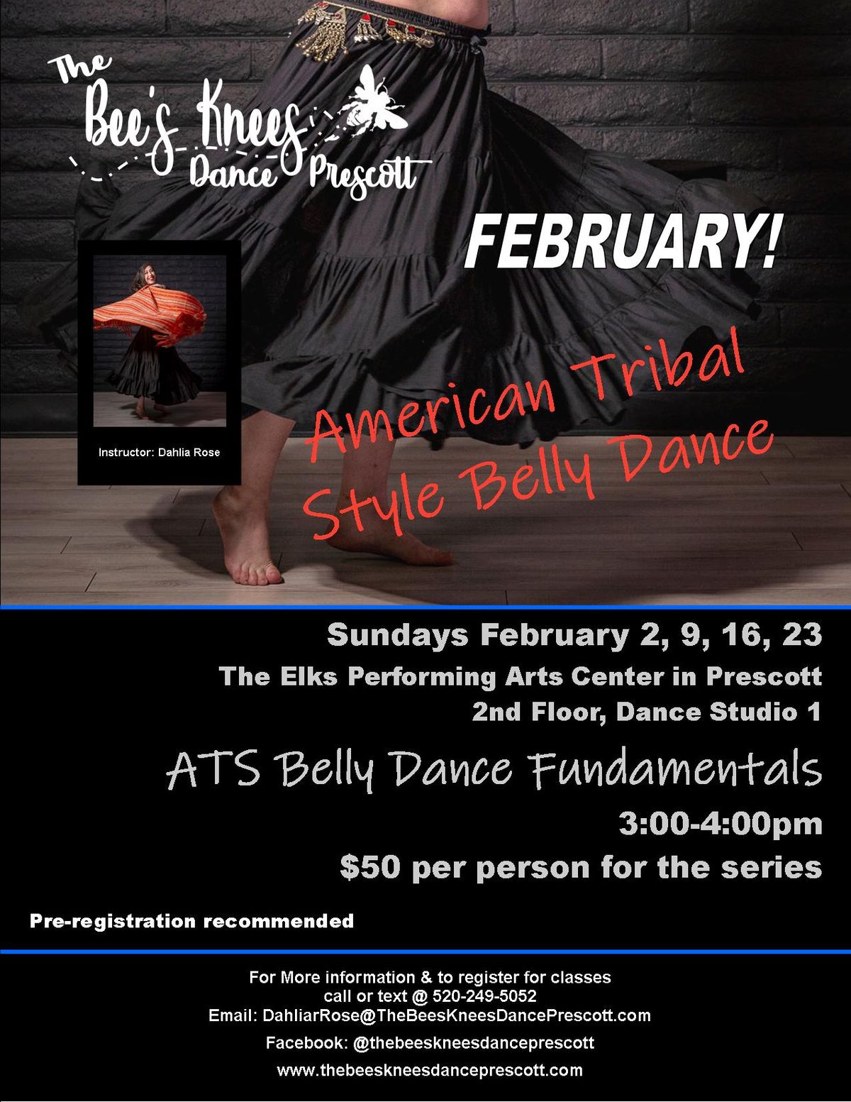 Belly Dance Fundamentals!