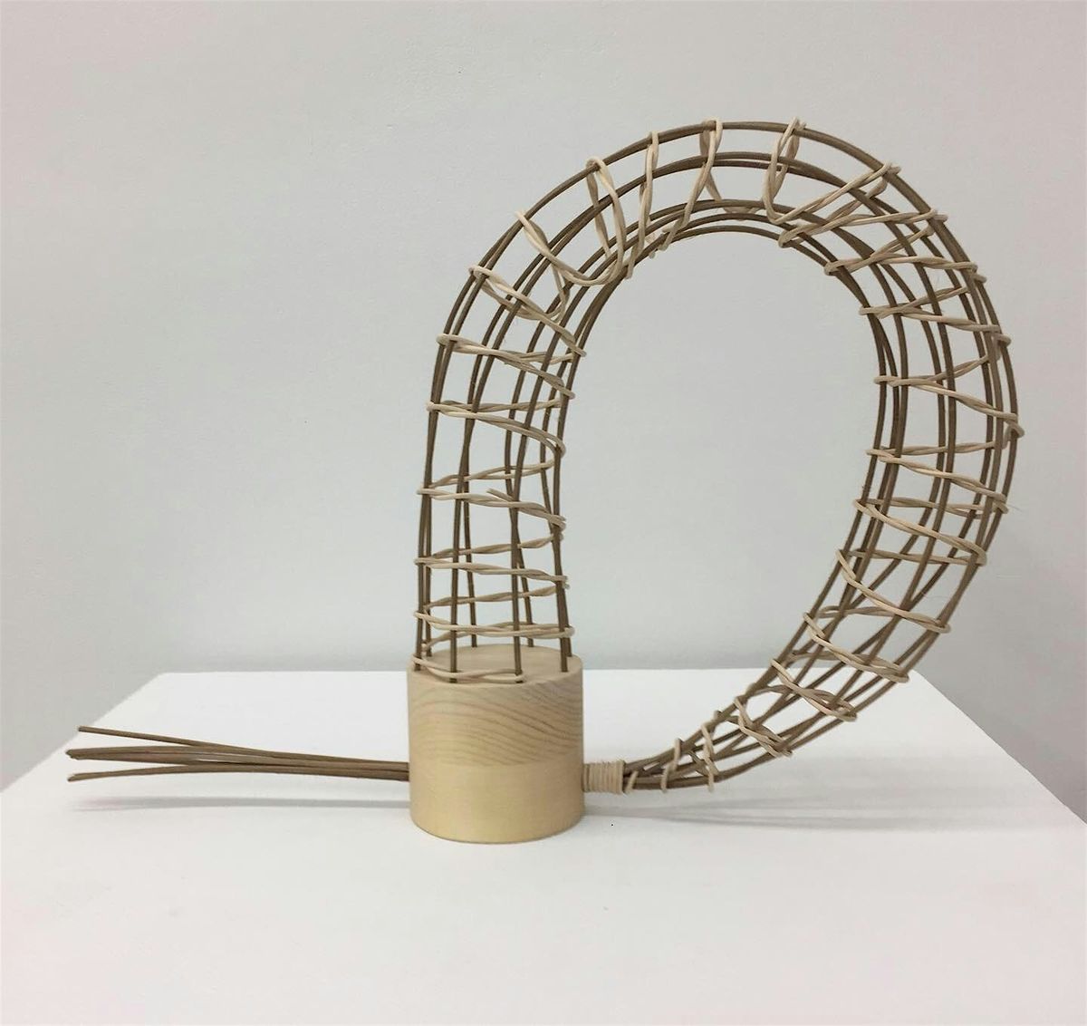 Sculptural Basketry with Teresa Audet