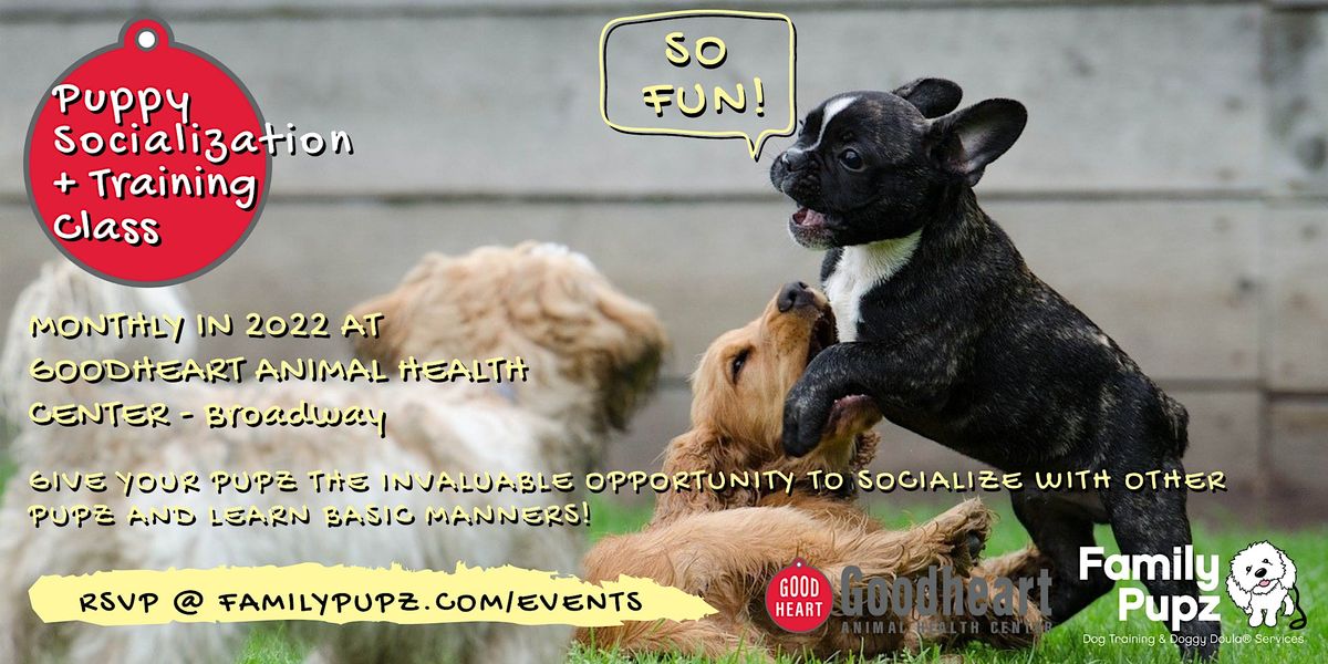 Puppy Socialization+Training Class @ Goodheart Vet - Broadway (17 weeks+)