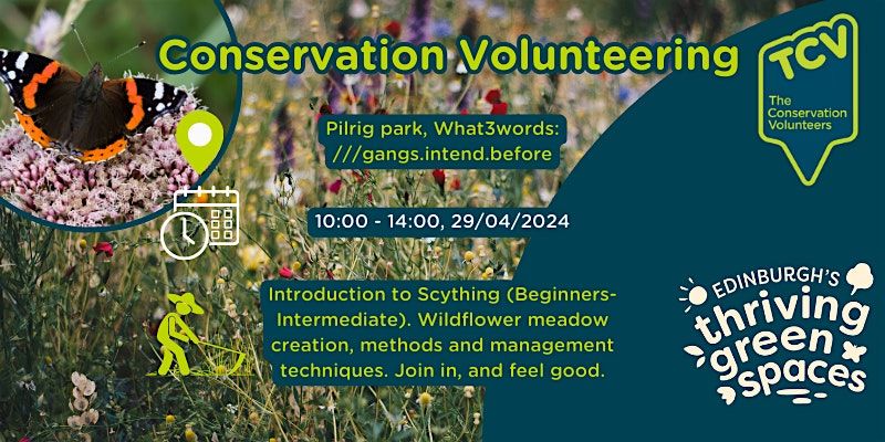 Conservation Volunteers - Scything and Wildflower Meadow Creation