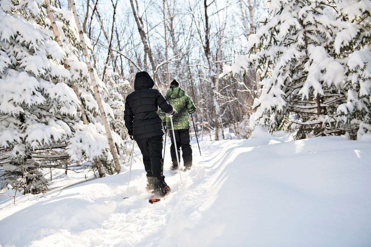 Snowshoe Adventure