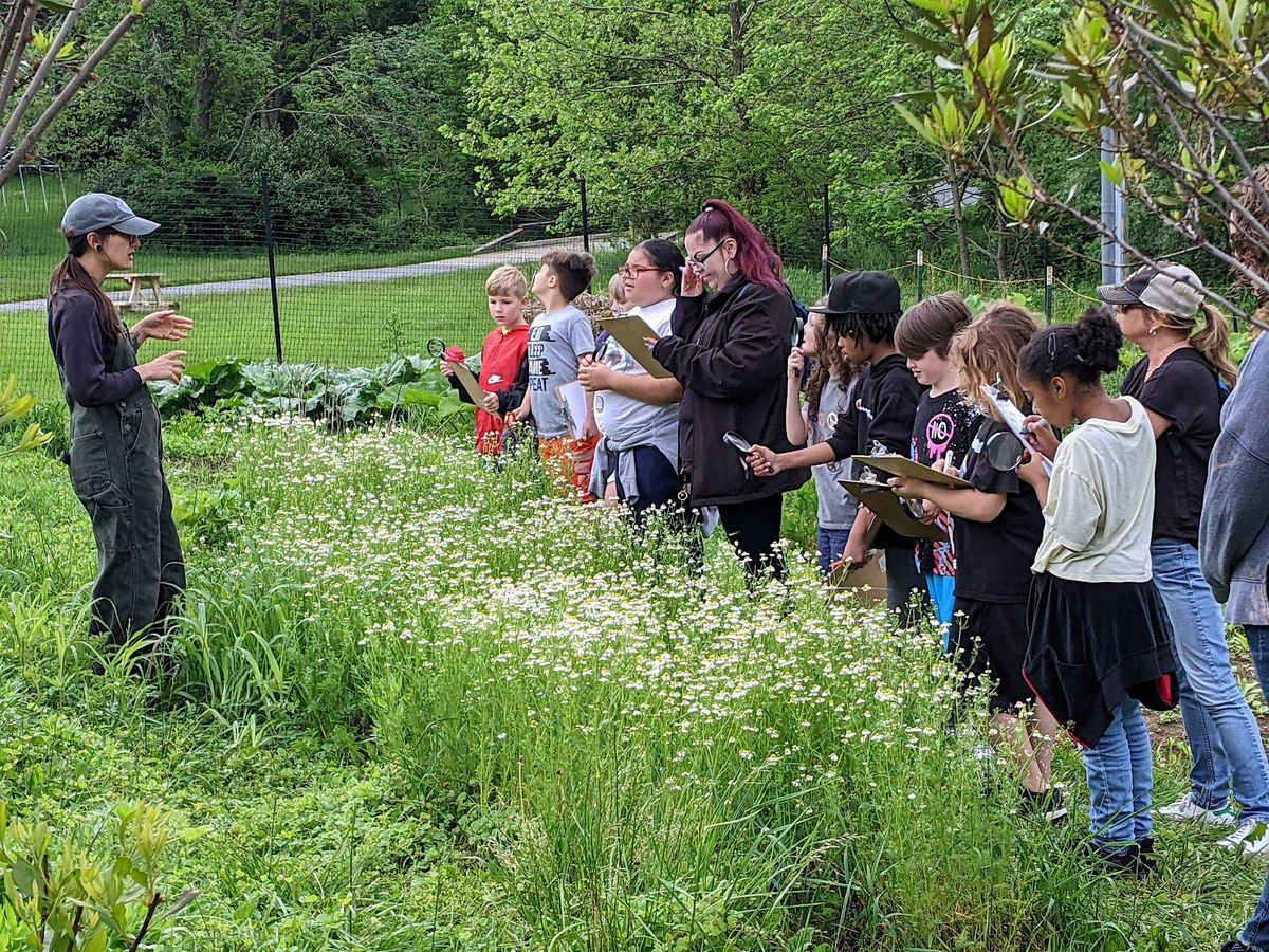 Intergenerational Herb Garden Tour & Tea Tasting with Ashley Hoffman