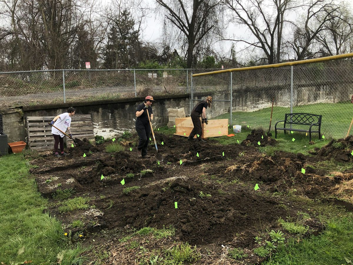 How to Start a Community Garden