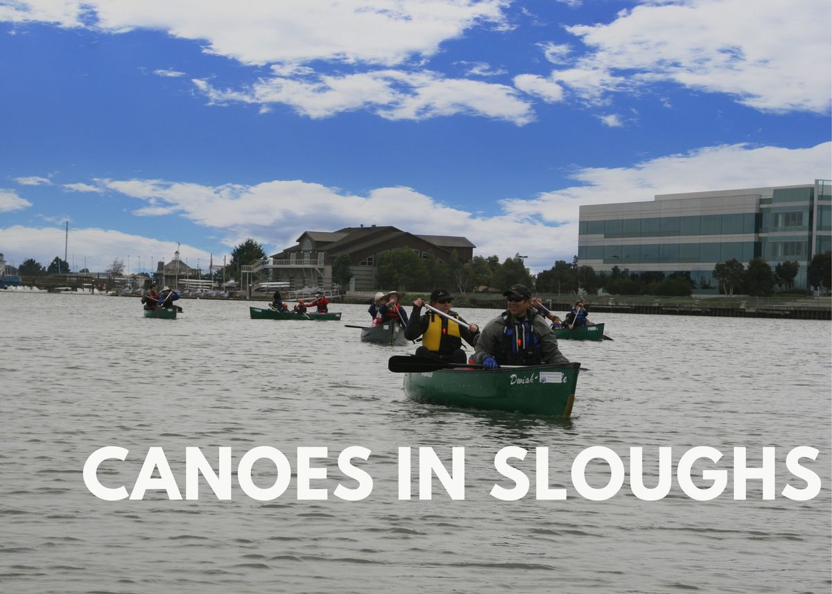Public Canoes in Sloughs