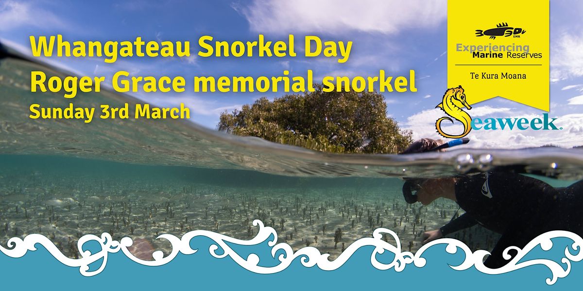 Whangateau Snorkel Day